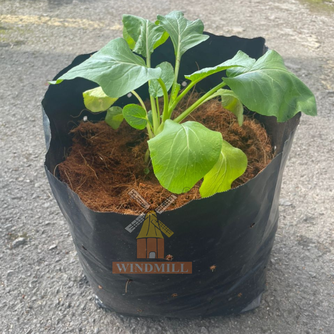 Polybag Cocopeat Kmb Resources